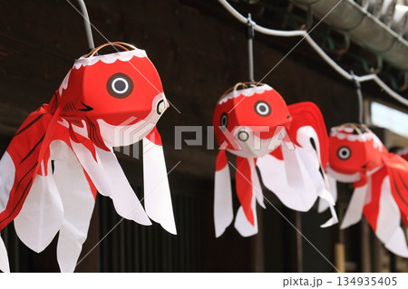 金魚提灯　柳井市の伝統工芸品　柳井市の町並み 134935405