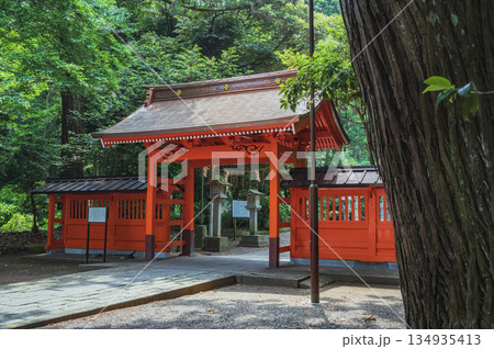 茨城 息栖神社の神門 茨城 息栖神社の神門 134935413