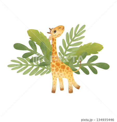 Composition: a baby giraffe against a background of tropical leaves. Cartoon illustration in flat style. Watercolor, pastel, gouache, yellow, orange, green. For design of children's products, prints Composition: a baby giraffe against a background of tropical leaves. Cartoon illustration in flat style. Watercolor, pastel, gouache, yellow, orange, green. For design of children's products, prints 134935446