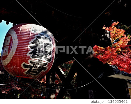 金剛輪寺の風景 金剛輪寺の風景 134935461