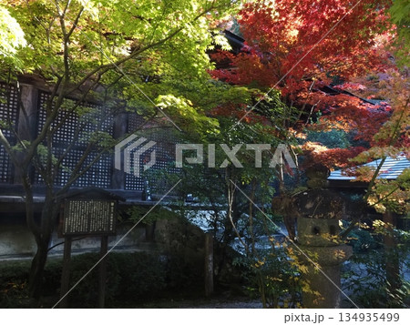 金剛輪寺の風景 金剛輪寺の風景 134935499