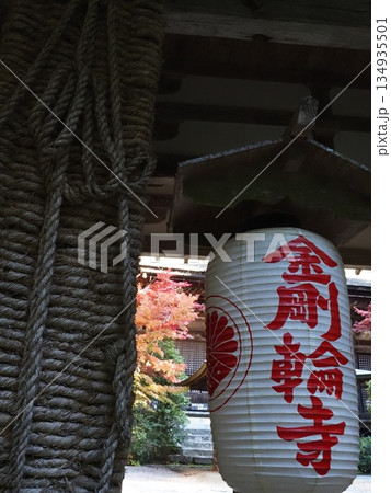 金剛輪寺の風景 金剛輪寺の風景 134935501