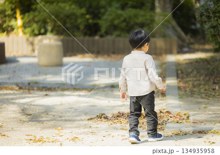 公園で遊ぶファミリー 134935958