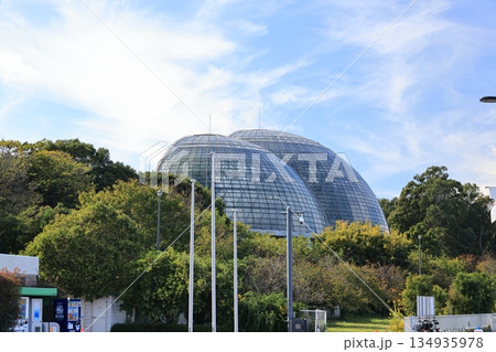 夢の島熱帯植物館の建つ夢の島公園の風景 夢の島熱帯植物館の建つ夢の島公園の風景 134935978