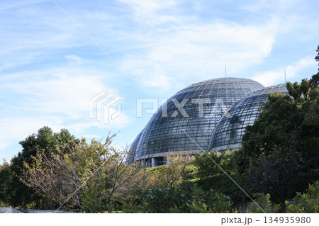 夢の島熱帯植物館の建つ夢の島公園の風景 134935980
