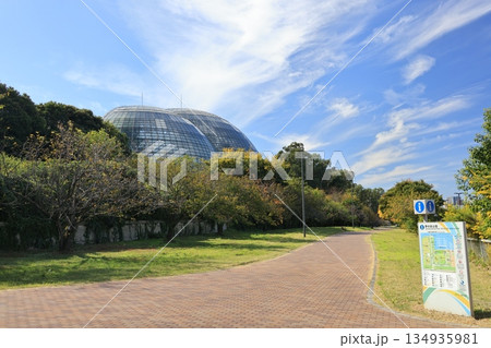 夢の島熱帯植物館の建つ夢の島公園の風景 夢の島熱帯植物館の建つ夢の島公園の風景 134935981