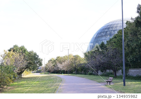 夢の島熱帯植物館の建つ夢の島公園の風景 夢の島熱帯植物館の建つ夢の島公園の風景 134935982