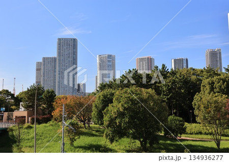 辰巳の森緑道公園の風景 辰巳の森緑道公園の風景 134936277