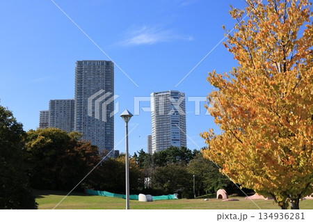 辰巳の森緑道公園のたこ広場の風景 134936281