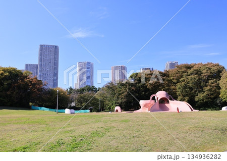 辰巳の森緑道公園のたこ広場の風景 辰巳の森緑道公園のたこ広場の風景 134936282