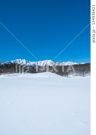 中山高原・スノートレッキング （北アルプスの眺め） 134936421