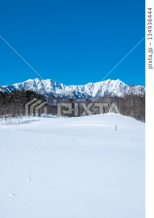 中山高原・スノートレッキング （北アルプスの眺め） 134936444