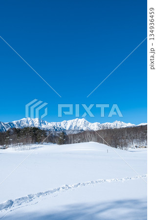 中山高原・スノートレッキング （北アルプスの眺め） 134936459