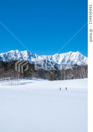 中山高原・スノートレッキング (北アルプスの眺め) 中山高原・スノートレッキング (北アルプスの眺め) 134936491