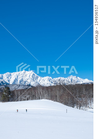 中山高原・スノートレッキング （北アルプスの眺め） 134936517