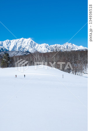 中山高原・スノートレッキング (北アルプスの眺め) 中山高原・スノートレッキング (北アルプスの眺め) 134936518