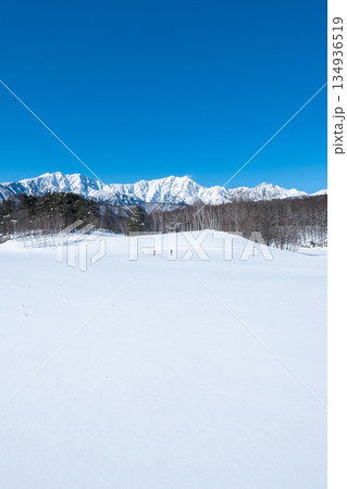 中山高原・スノートレッキング （北アルプスの眺め） 134936519