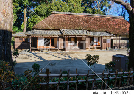 茅葺屋根と屋敷林 134936523