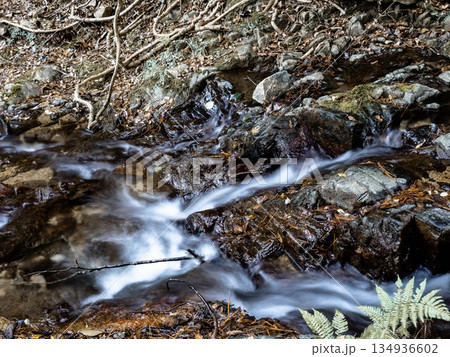 六甲山の登山道、アイスロードの渓流と川の流れ 134936602