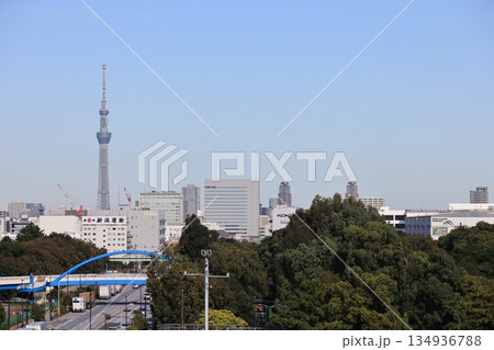 遠くスカイツリーを望むJR京葉線新木場駅の風景 134936788