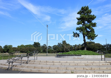 東京都江東区夢の島公園の風景 東京都江東区夢の島公園の風景 134936859