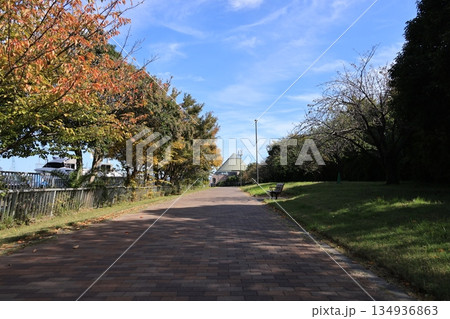 東京都江東区夢の島公園の風景 134936863