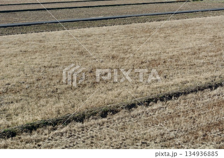 冬の田んぼ 134936885