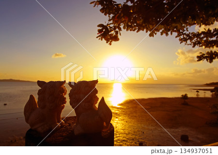 沖縄　夕日が沈む海を見つめるシーサーカップル 134937051