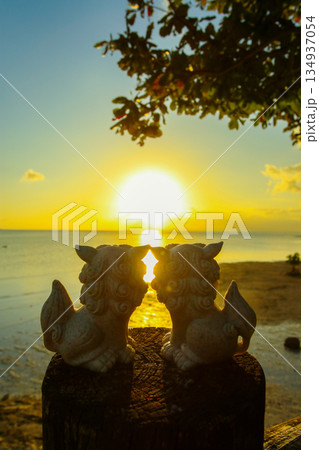 沖縄　夕日が沈む海を見つめるシーサーカップル 134937054