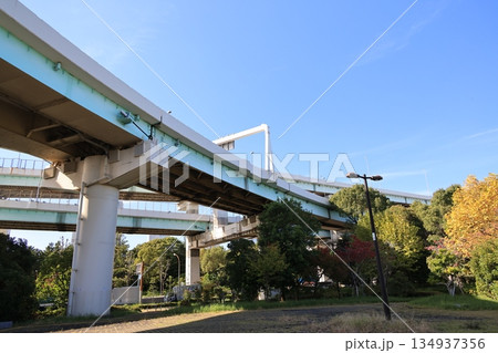 江東区辰巳の首都高速辰巳ジャンクションの風景 江東区辰巳の首都高速辰巳ジャンクションの風景 134937356