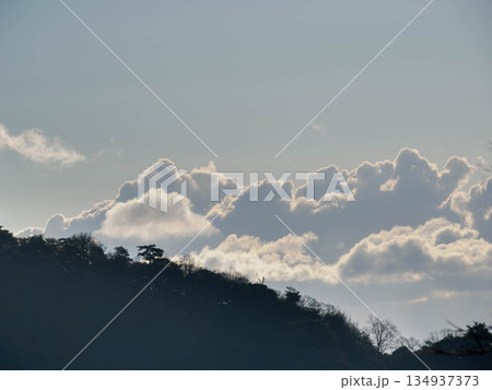六甲山への登山道、アイスロードからの眺め 六甲山への登山道、アイスロードからの眺め 134937373