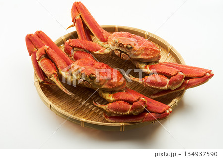 茹でたズワイガニを白背景で 茹でたズワイガニを白背景で 134937590