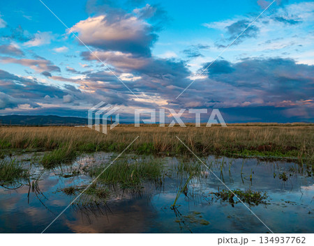 Still water reflects dramatic sky over field at sunset Still water reflects dramatic sky over field at sunset 134937762