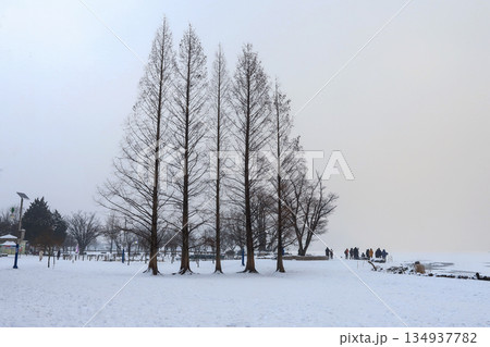 The snowy scenery of Dumulmeori, where the Namhan river and Bukhan river meet to form the Han river. 134937782