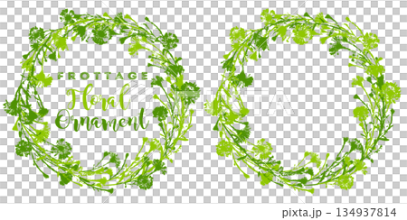 フロッタージュで描いた、花と葉の切り抜きフレーム 134937814