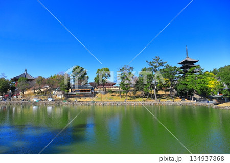 【奈良県】晴天の興福寺（五重塔と中金堂と南円堂） 134937868
