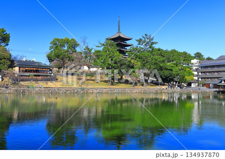 【奈良県】晴天の興福寺（五重塔と猿沢池） 134937870