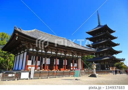【奈良県】晴天の興福寺(東金堂と五重塔) 【奈良県】晴天の興福寺(東金堂と五重塔) 134937883