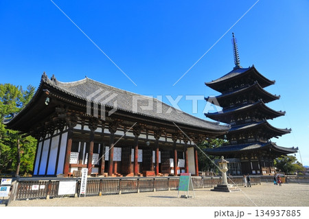 【奈良県】晴天の興福寺（東金堂と五重塔） 134937885