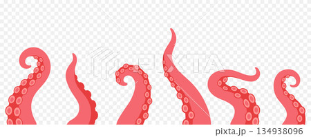 Squid tentacles with suction cups. Cartoon curled octopus arms for fantasy monsters, marine biology and underwater nautical design Squid tentacles with suction cups. Cartoon curled octopus arms for fantasy monsters, marine biology and underwater nautical design 134938096