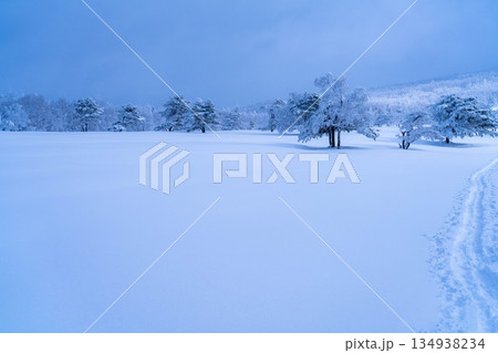 【冬素材】白銀の霧氷の風景【長野県】 134938234