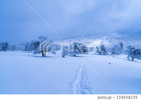 【冬素材】白銀の霧氷の風景【長野県】 134938235