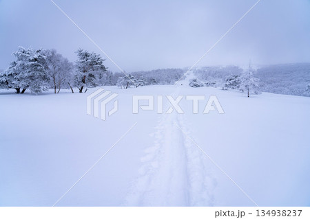 【冬素材】白銀の霧氷の風景【長野県】 134938237