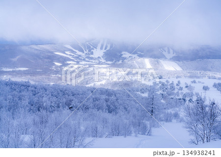 【冬素材】白銀の霧氷の風景【長野県】 134938241