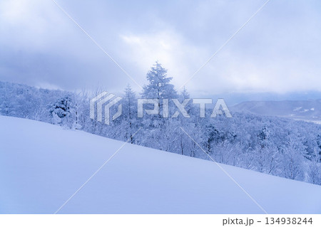 【冬素材】白銀の霧氷の風景【長野県】 134938244
