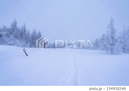 【冬素材】白銀の霧氷の風景【長野県】 134938246