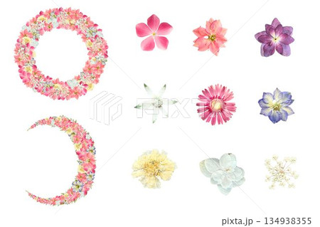 ピンクと彩り豊かな押し花パーツセット、背景透過PNG、三日月リースと花の詰め合わせ 134938355
