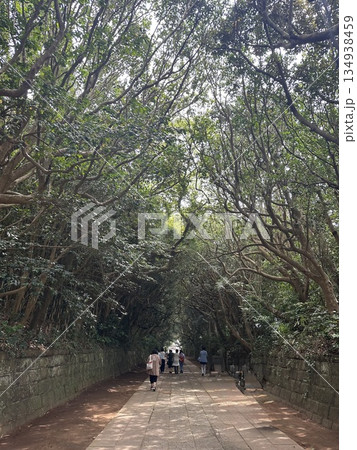 酒列磯前神社の参道 134938459