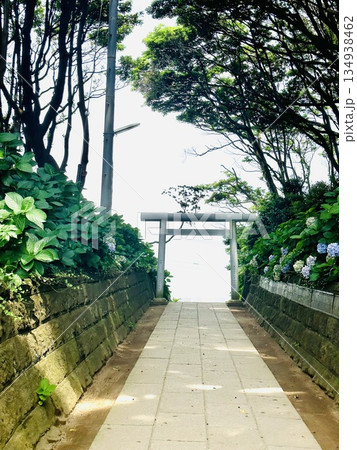 海に向かう鳥居 海に向かう鳥居 134938462