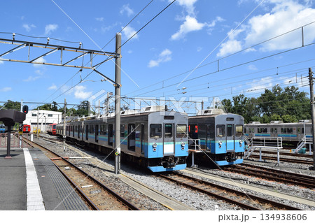 伊豆急行8000系電車 134938606